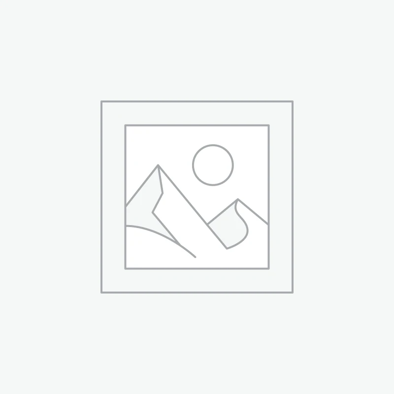 قاشق بستنی طرح بیل (6 عددی )