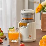 دستگاه آبمیوه گیری آسانسوری